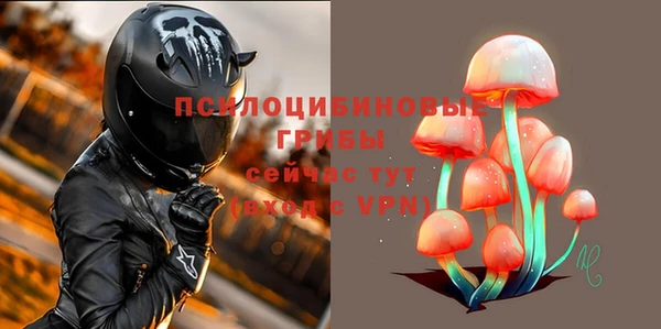 спиды Абинск