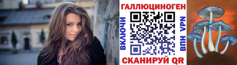 Псилоцибиновые грибы Psilocybine cubensis  Липецк 